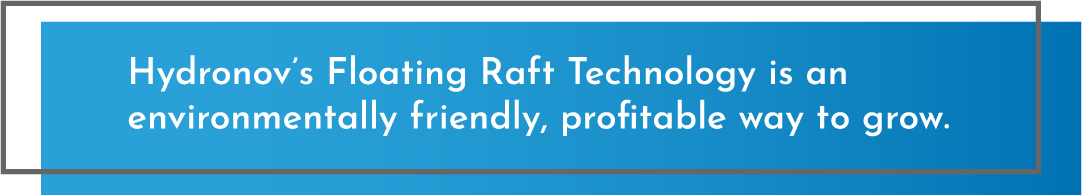 Hydronov's Floating Raft Technology is an environmentally friendly, profitable way to grow.