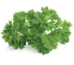 Parsley