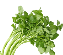 Watercress