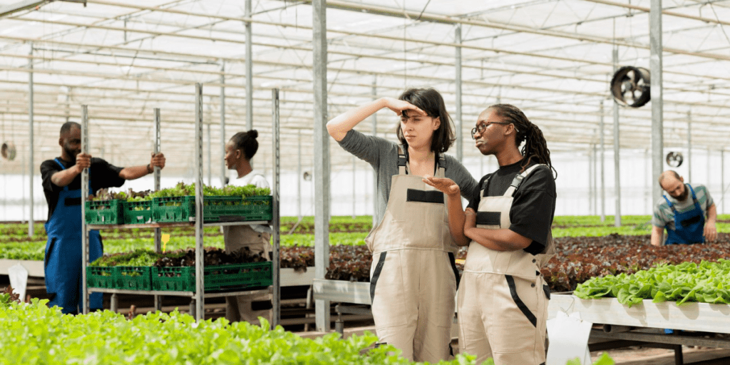 Two women looking on discussing the plants growing in a Hydronov facility. Workers in the background work on.