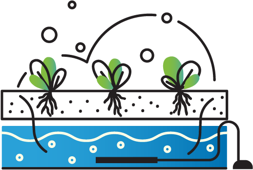 Graphic of plants growing in floating raft technology over water.