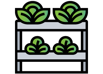 Graphic of greens sitting on shelves.