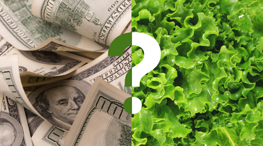 Feature image for "Is Hydroponic Farming Profitable" blog featuring image of pile of cash next to image of lettuce with a question mark intersecting the two images.