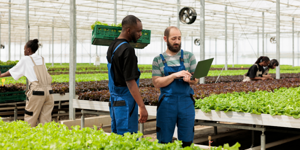 Two men looking at computer in hydroponics facility