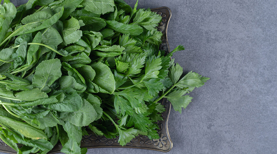 fresh watercress and cilantro on tray on a marble table