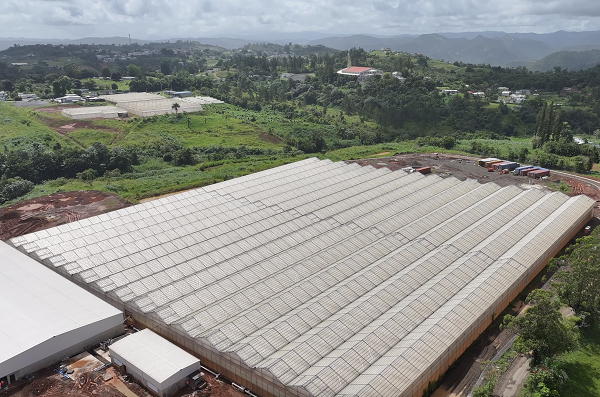 commercial greenhouse in the mountains of puerto rico