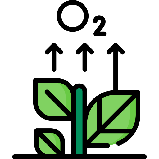 plant oxygen levels icon